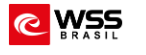 websurfshop巴西官網